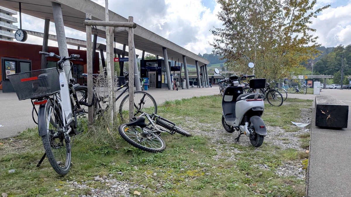 Velos, die an Bäume angebunden und auf Grünflächen abgestellt wurden.